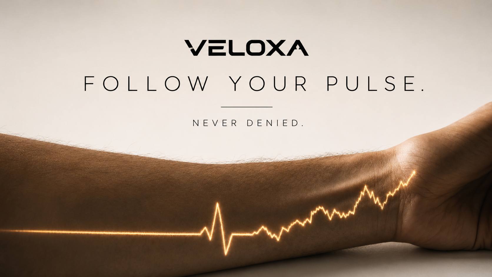 ⌁ VΞLOXA | 🦂