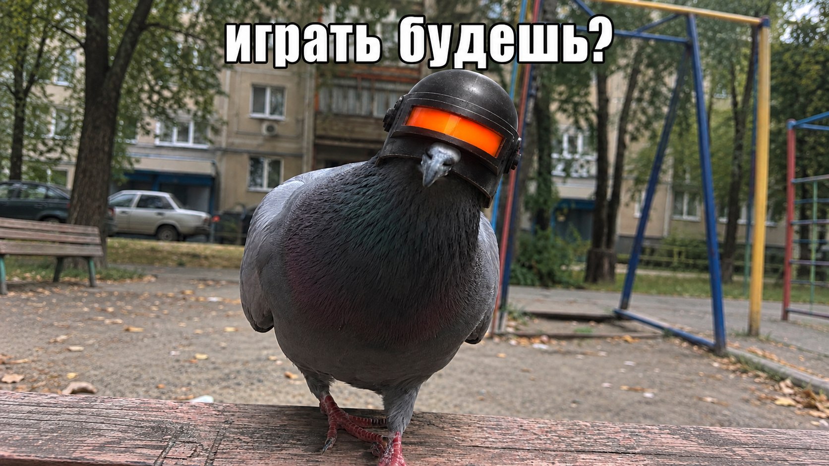 𝐀𝐏𝐌𝐋 𝐔𝐂 𝐒𝐇𝐎𝐏