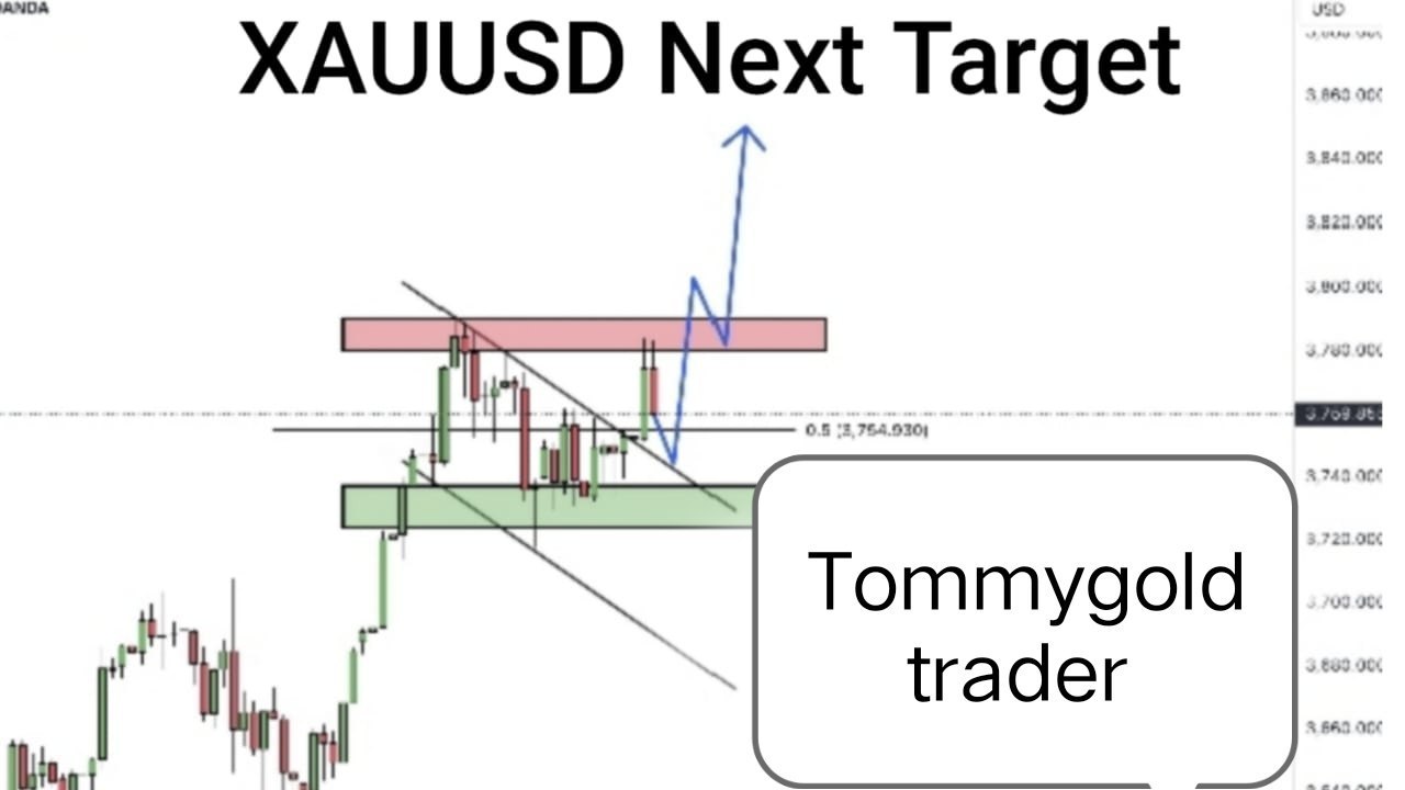 GOLD SIGNAL FX