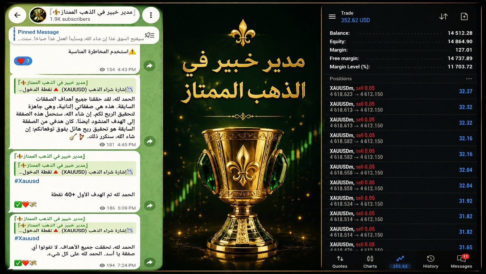 『مدير خبير في الذهب الممتاز⚜️』