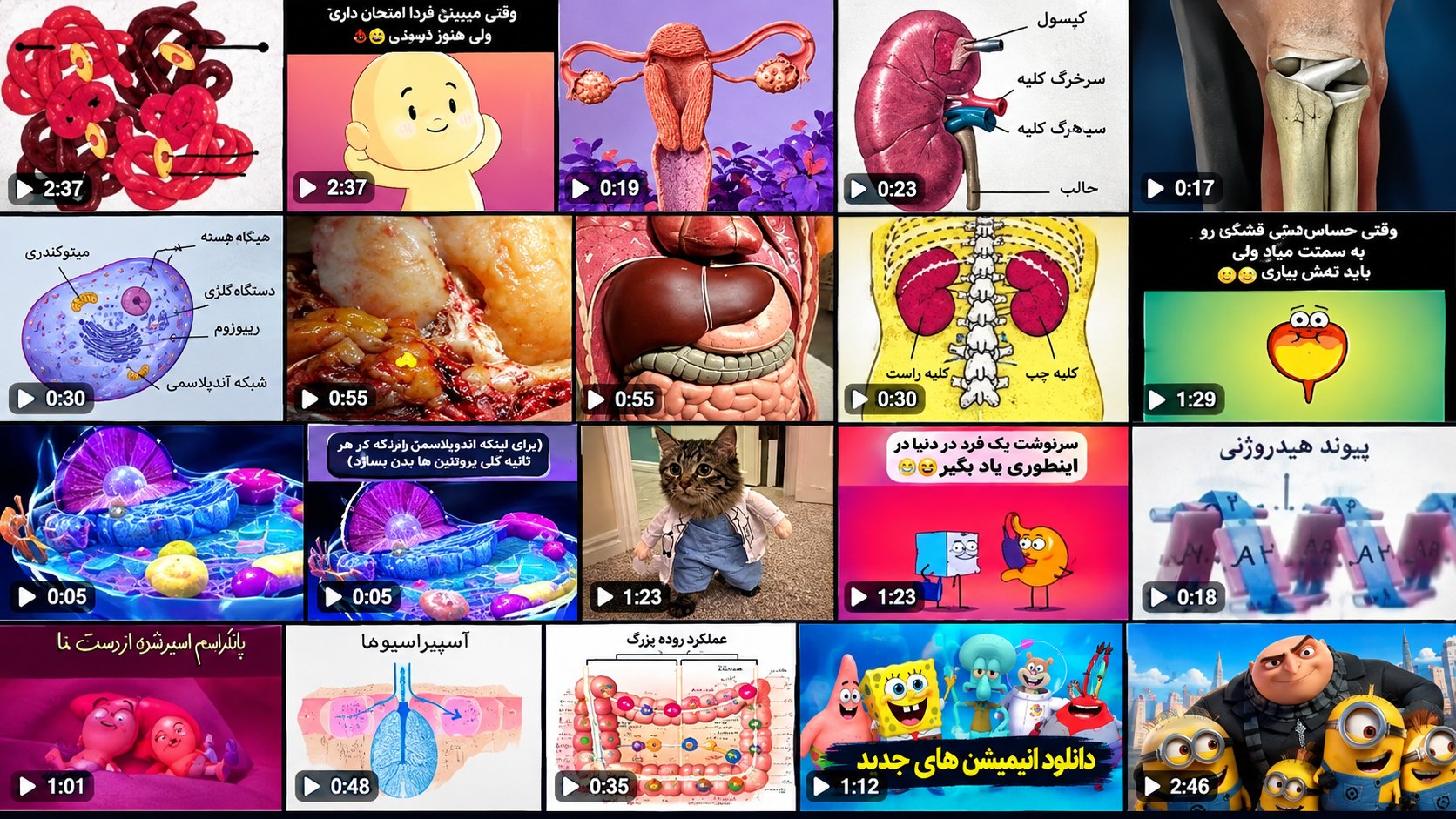 انیمیـشـن پـزشــکی