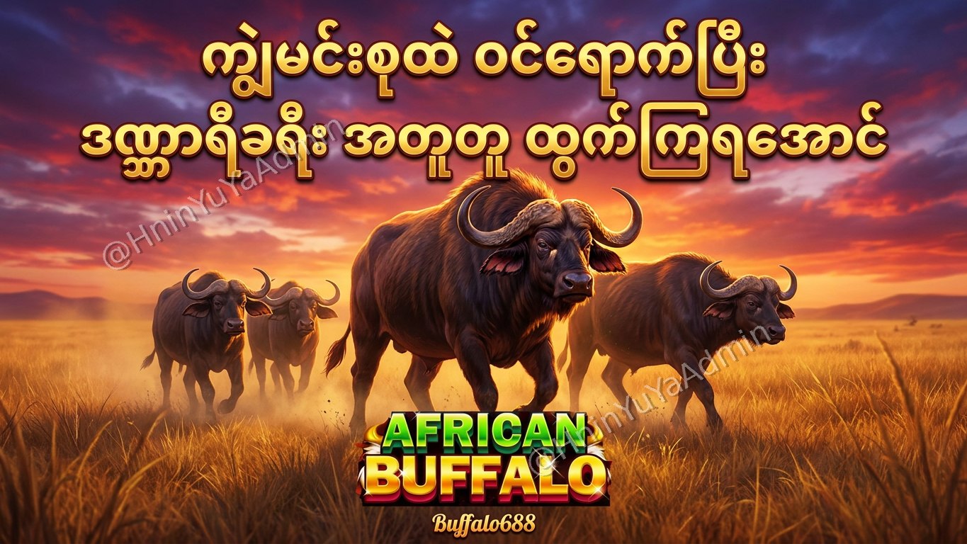 ကျွဲဂိမ်းအစစ် Buffalo688 ၊ကျွဲဘုရင် ၊ရှမ်းကိုးမီး၊ဘူကြီး