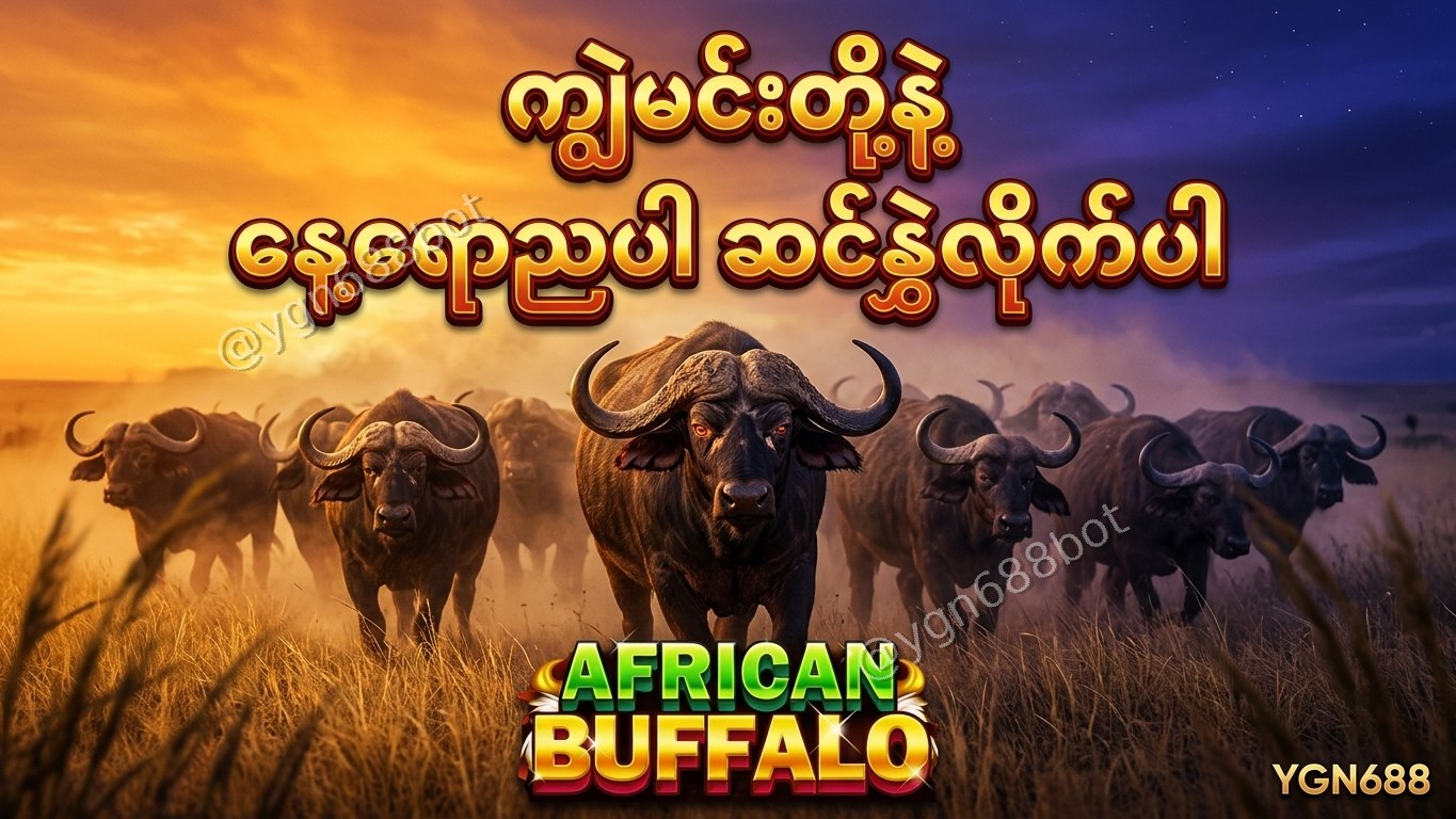 YGN688 - အော်တိုတိုက်ရိုက်ဂိမ်းဆိုက်