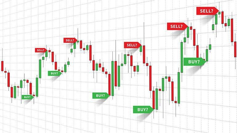 Xauusd free signal Team