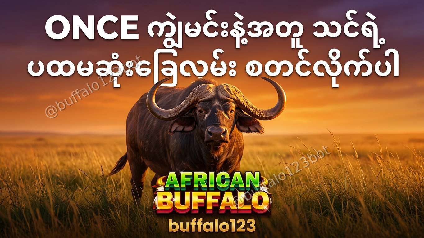 ကျွဲဂိမ်း Buffalo123 Official
