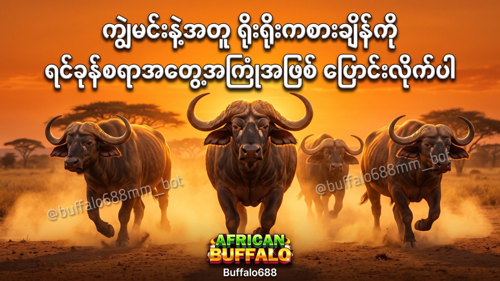 Buffalo688 Myanmar Official