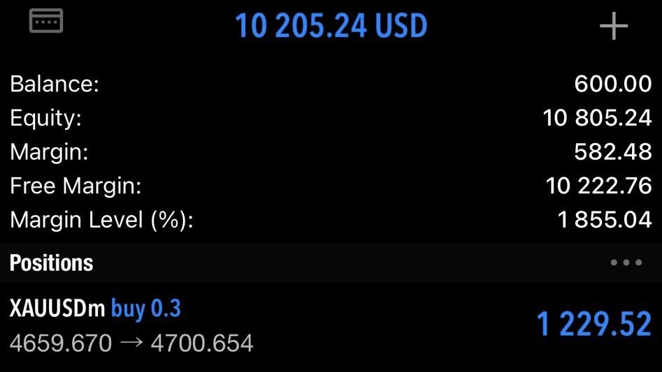 Gold Minds FX